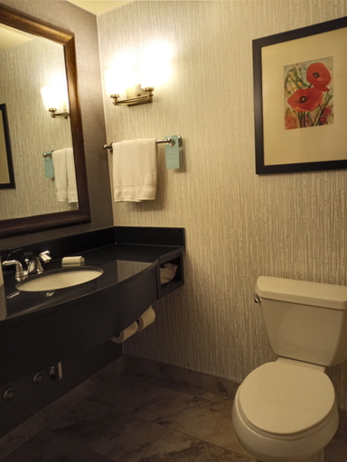Bathroom 5, Hilton Garden Inn Calgary Airport, Division No. 6