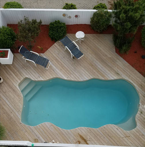 Sport & Beauty 5, Sandbar Bed & Breakfast, Dare