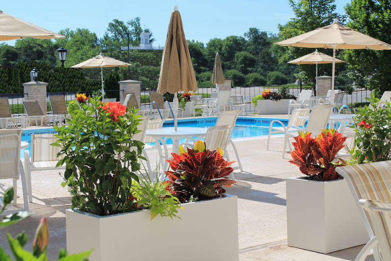 Sport & Beauty 2, Hilton St. Louis Frontenac, Saint Louis