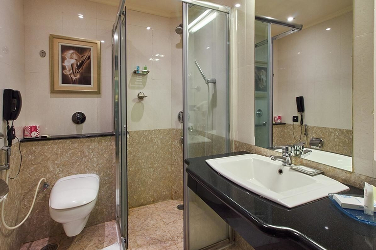 Bathroom 5, Royalton Hyderabad, Hyderabad