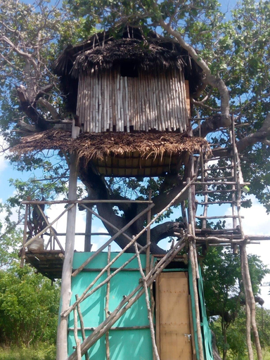 Exterior & Views, Mida Creek Nature Camp, Kilifi North