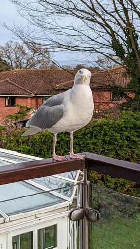 Others 5, Summerfields House, East Sussex
