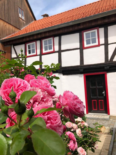 Exterior & Views 2, Gesindehaus Börnecke, Harz
