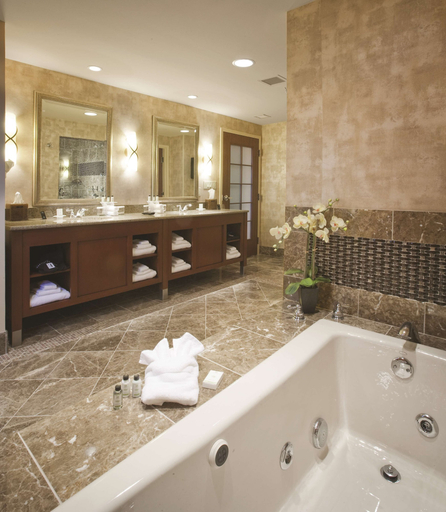 Bathroom 4, Embassy Suites by Hilton Norman Hotel & Conference Center, Cleveland