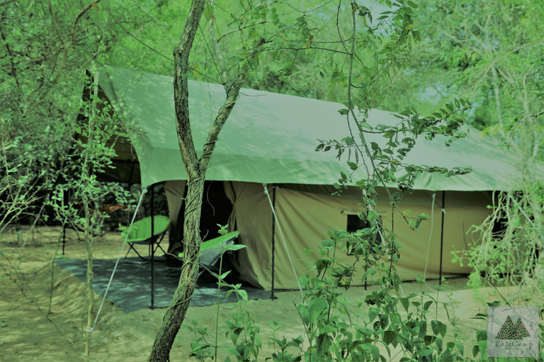 Others 5, Base Camp Wilpattu, Nochchiyagama