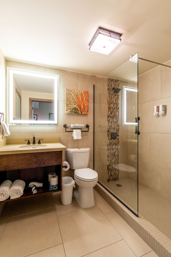 Bathroom 4, Eagle Aruba Resort