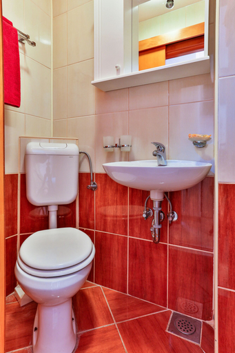 Bathroom 3, Villa Dvor Kornic