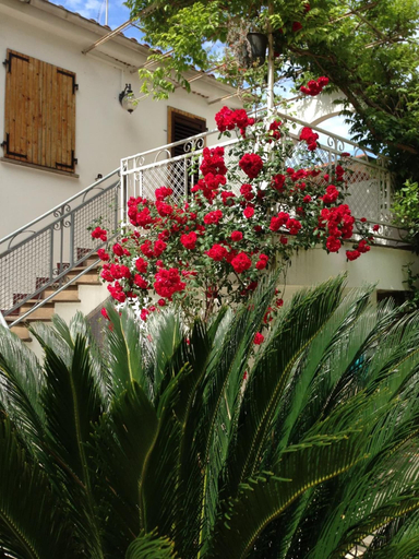 Exterior & Views 2, Noi Due Hotel, Rimini