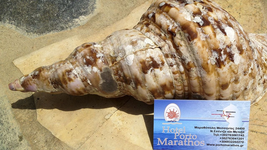 Food & Drinks 4, Porto Marathos, Peloponnese