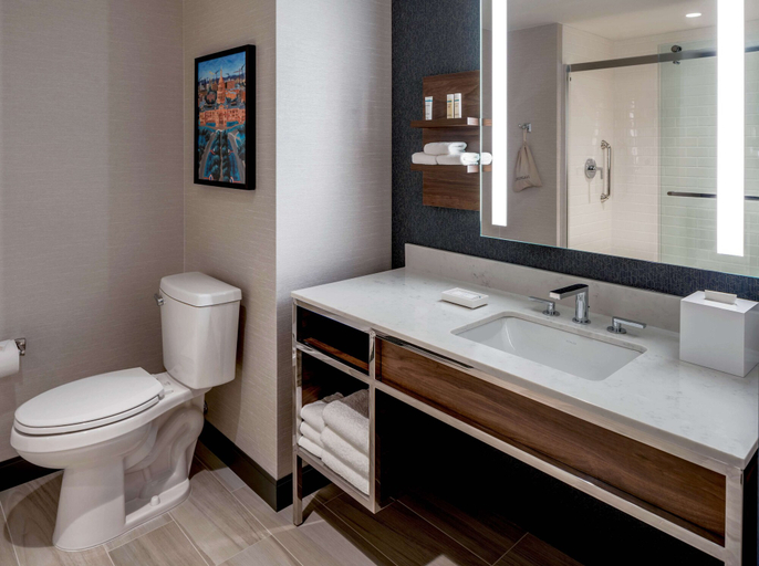 Bathroom 5, Hilton Garden Inn Austin University Capitol District, Travis