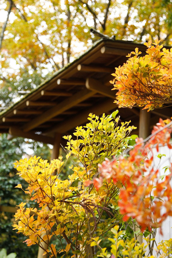 Others 5, Ginsuiso Bekkan Choraku, Nishinomiya