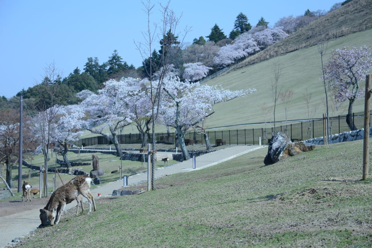 Exterior & Views 2, Mountain Home Lodge in Deer Park, Nara