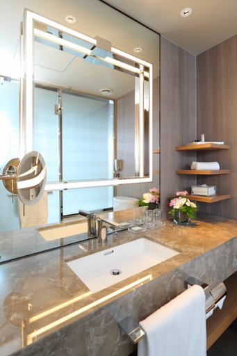 Bathroom 5, Hilton Osaka, Osaka