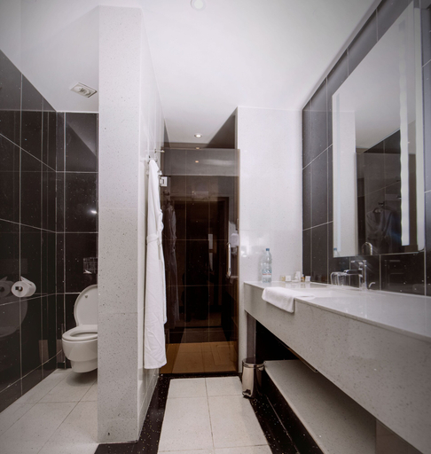 Bathroom 5, Krystal Palace Douala, Wouri