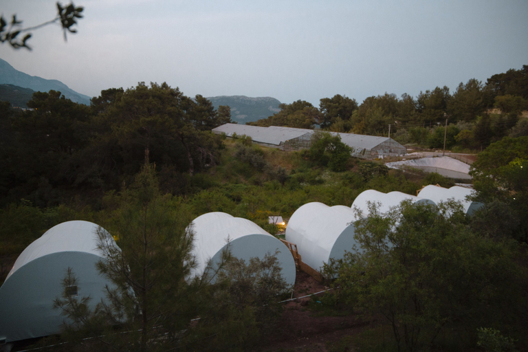Others 4, Evergreen Glamping, Kumluca