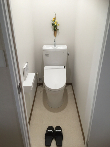 Bathroom 4, Tamaki, Fujiyoshida