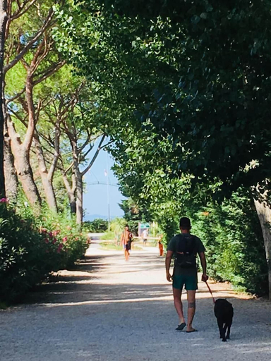 Others 5, Camping Campo al Fico, Livorno