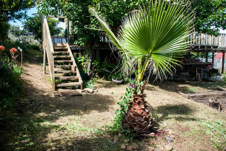 Others 1, Casa Verde Pichilemu, Cardenal Caro