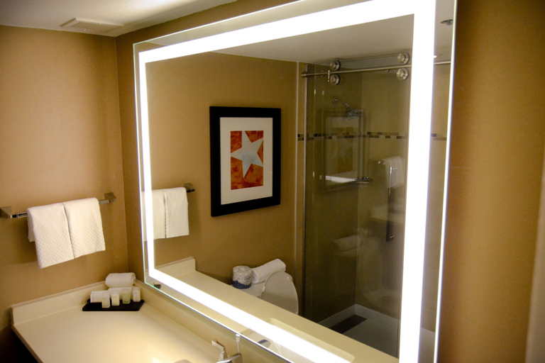 Bathroom 5, Embassy Suites by Hilton Austin Downtown South Congress, Travis