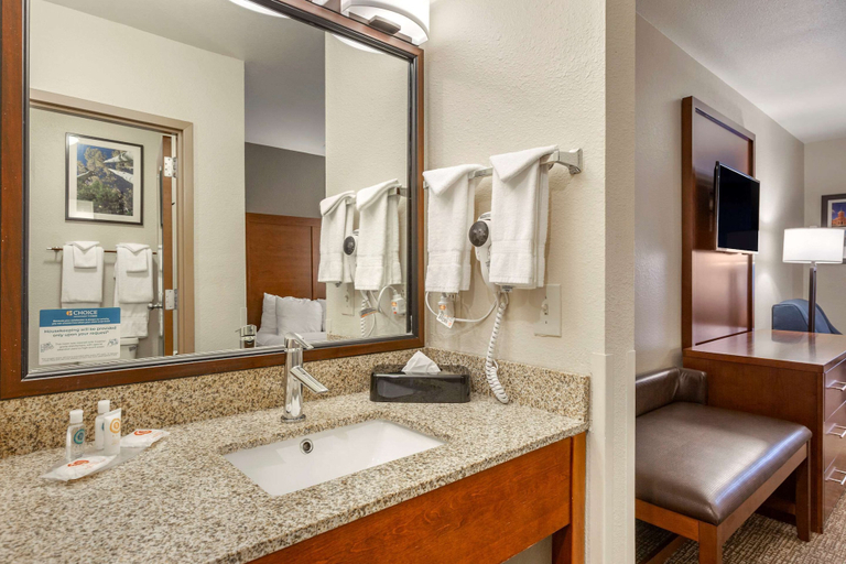Bathroom 4, Comfort Inn Flagstaff South I-17, Coconino