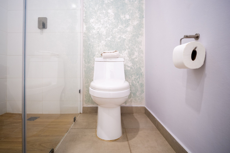 Bathroom 5, Hotel DC Boutique & SPA, Dist. Pochutla