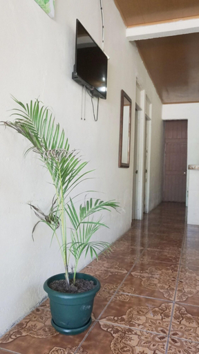 Others 5, Guesthouse Morpho CR, Aguirre
