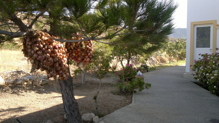 Property grounds 4, Dream Villas, South Aegean