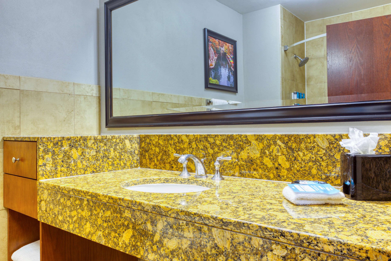 Bathroom 5, Drury Plaza Hotel San Antonio Riverwalk, Bexar