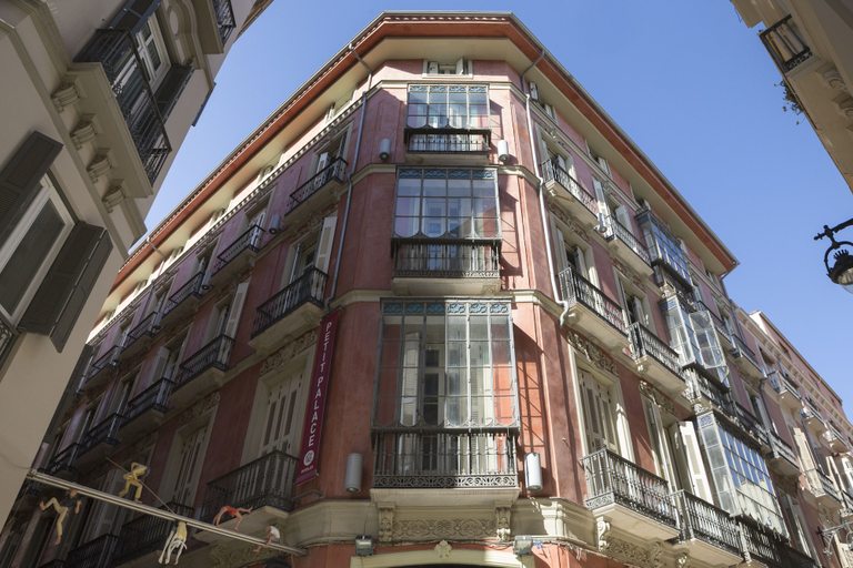 Exterior & Views 2, Petit Palace Plaza Malaga Hotel, Málaga