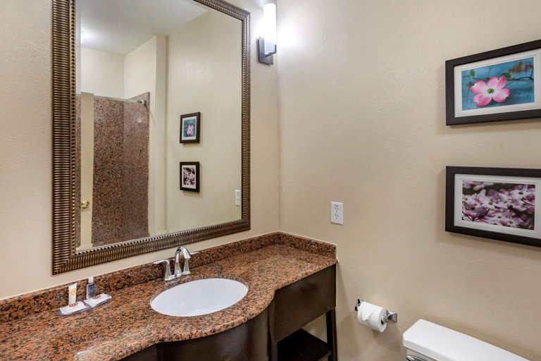 Bathroom 4, Comfort Inn & Suites Villa Rica, Carroll