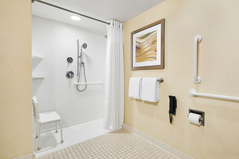 Bathroom 4, Fairfield Inn & Suites Fort Worth Downtown/Convention Center, Fort Worth