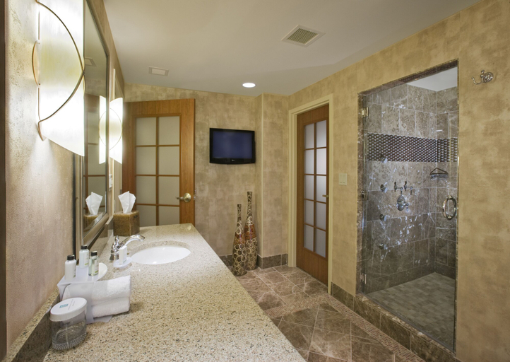 Bathroom 4, Embassy Suites by Hilton Norman Hotel & Conference Center, Cleveland