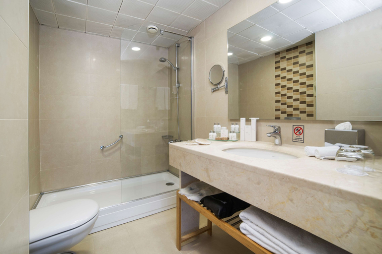 Bathroom 5, Radisson Hotel President Old Town Istanbul, Fatih