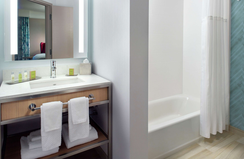 Bathroom 4, Hilton Garden Inn - Atlanta Buckhead, Atlanta