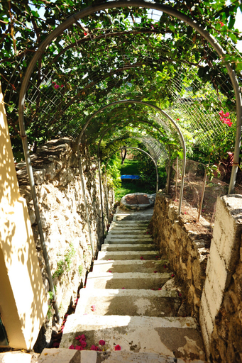 Property grounds, Korakiana Cottage, Ionian Islands
