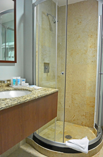 Bathroom 4, Senia Reforma, Mexico City