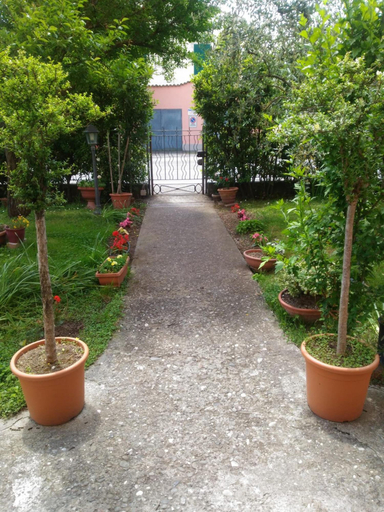 Others 5, Angelini dal 1911, Lucca