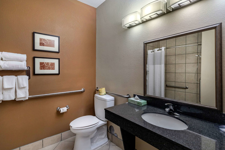 Bathroom 4, Comfort Suites Ennis, Ellis