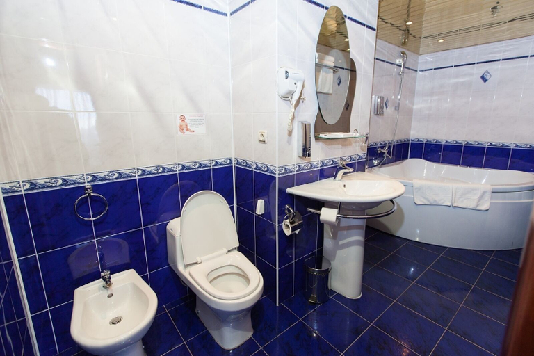 Bathroom 3, AMAKS Golden Ring, Vladimir