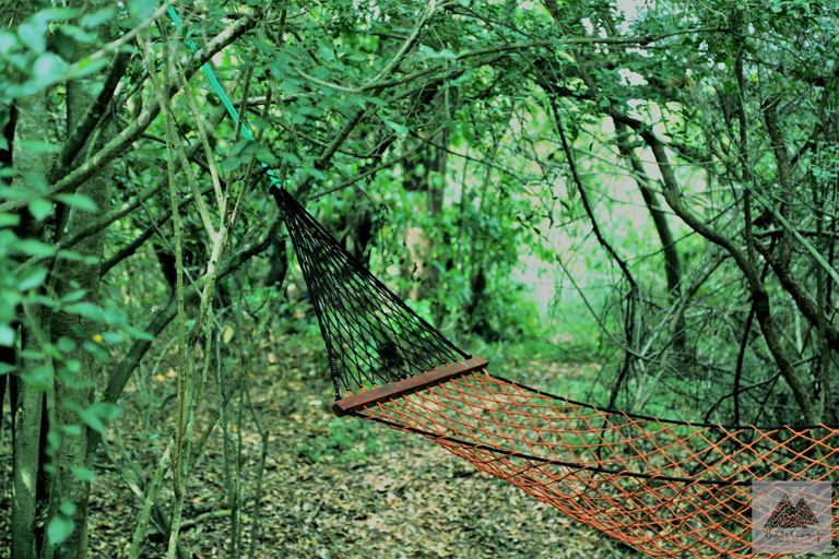 Others 4, Base Camp Wilpattu, Nochchiyagama