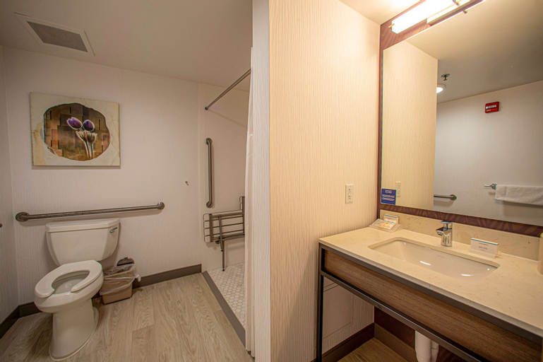 Bedroom 4, Hilton Garden Inn Rapid City, Pennington
