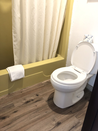 Bathroom 4, Gateway Inn, Moultrie