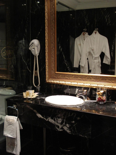 Bathroom 5, Alameda Palace, Salamanca