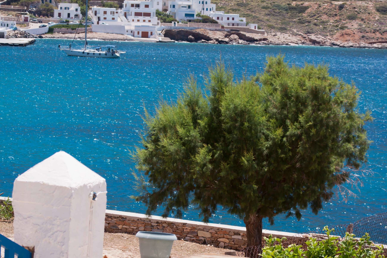 Exterior & Views 2, Delfini Hotel, South Aegean