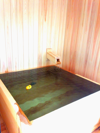 Bathroom 4, Kusatsu Onsen Eidaya, Kusatsu