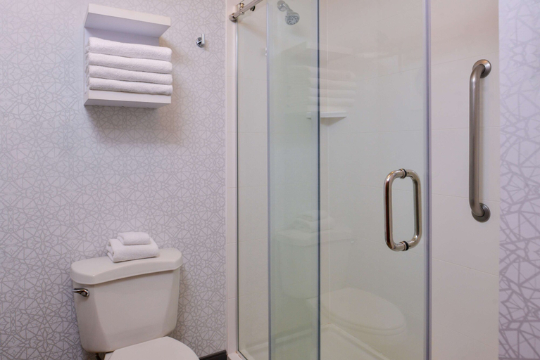 Bathroom 4, Hampton Inn & Suites Boise/Spectrum, Ada