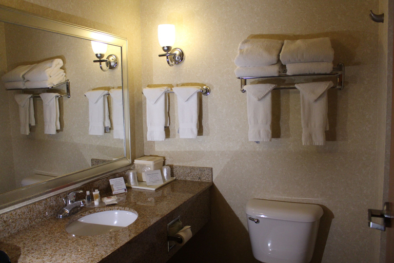 Bathroom 4, Comfort Suites Canton - Detroit, Wayne