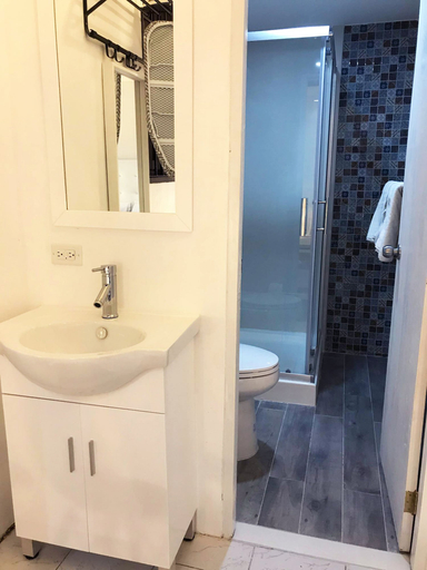 Bathroom 4, Gladiolas 2104
