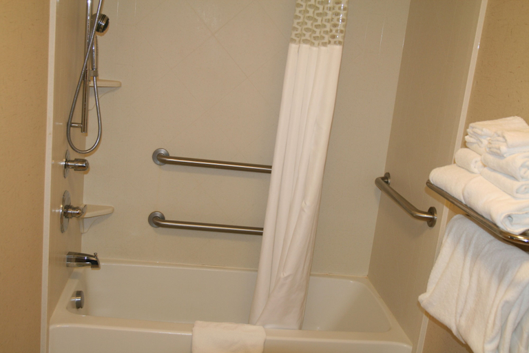 Bathroom 5, Hampton Inn & Suites Riverton, Fremont