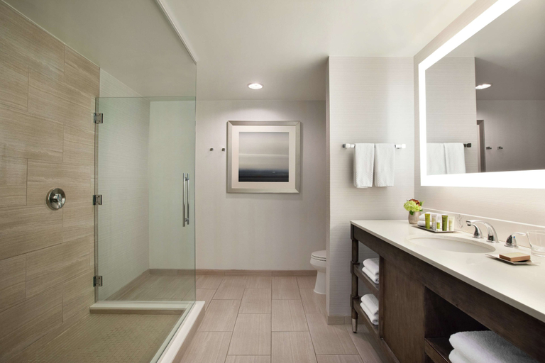 Bathroom 4, Hilton New Orleans/St. Charles Avenue, Orleans